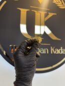 half grm gold Ladies Ring